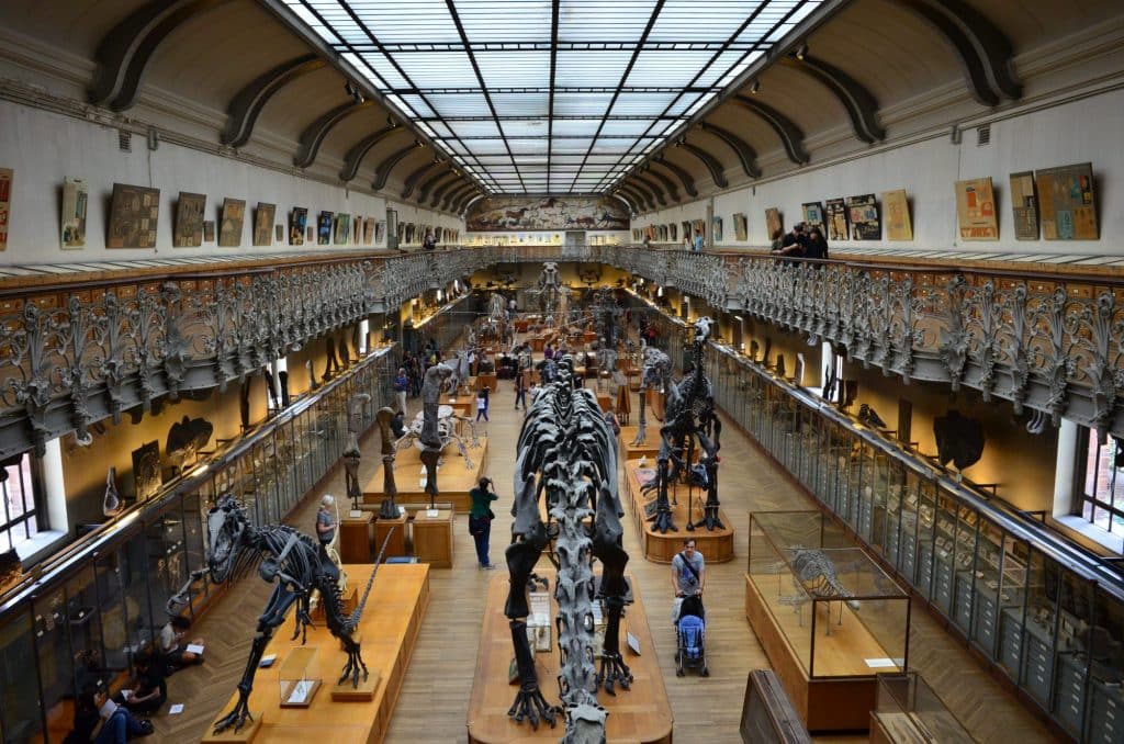 National Museum of Natural History – France